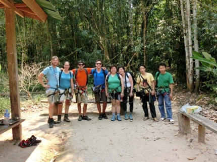 gibbon (12)